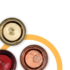 BORVIDÉKI ÍZKAVALKÁD